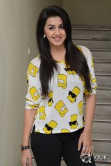 Nikki Galrani at Krishnashtami Movie Promotions